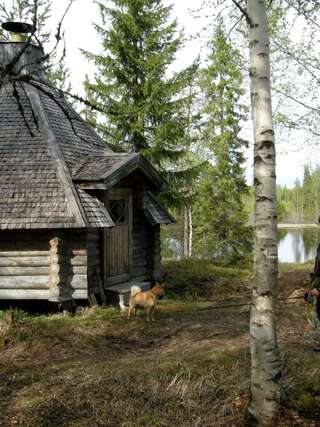 Гостевой дом Guesthouse Kumpunen Petäjävesi Двухместный номер с 1 кроватью, вид на озеро-20