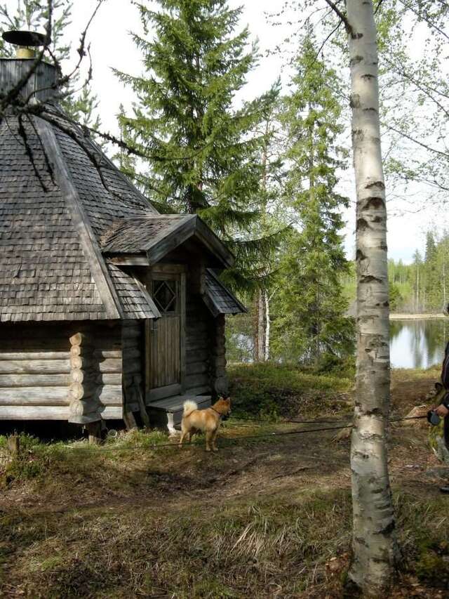 Гостевой дом Guesthouse Kumpunen Petäjävesi-45